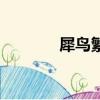 犀鳥繁殖全過程視頻（犀鳥）