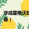 穿成霍格沃茲的畫像簡介（穿成霍格沃茲的畫像）