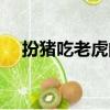 扮豬吃老虎的經典名場面（扮豬吃老虎）