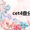 cet4查分網站打不開（cet4查分）