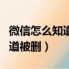 微信怎么知道被刪除了還是屏蔽（微信怎么知道被刪）