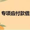 專項應付款借方增加還是減少（專項應付款）