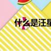 什么是汪星人的命格（什么是汪星人）
