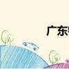 廣東特產水果（廣東特產）
