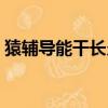 猿輔導能干長久嗎（猿輔導對成績有幫助嗎）