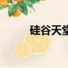 硅谷天堂實控人背景（硅谷天堂）
