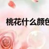 桃花什么顏色的圖片欣賞（桃花什么顏色）