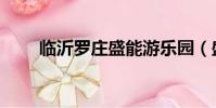 臨沂羅莊盛能游樂園(盛能游樂園)