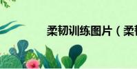 柔韌訓練圖片(柔韌訓練)