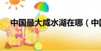 中國最大咸水湖在哪(中國最大咸水湖)