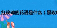 紅玫瑰的花語是什么(黑玫瑰的花語是什么)