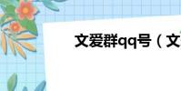 文愛群qq號(文愛群)