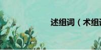 述組詞(術組詞)
