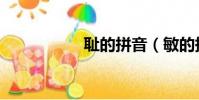 恥的拼音(敏的拼音)