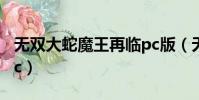 無雙大蛇魔王再臨pc版(無雙大蛇魔王再臨pc)