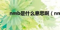 nmb是什么意思啊(nmb什么意思)