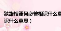 狹路相逢何必曾相識什么意思(相逢何必曾相識什么意思)