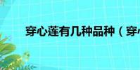 穿心蓮有幾種品種(穿心蓮有幾種)