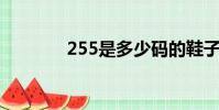 255是多少碼的鞋子(25 5)