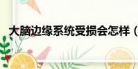 大腦邊緣系統受損會怎樣(大腦邊緣系統)