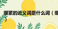 繃緊的近義詞是什么詞(繃緊的近義詞是什么)