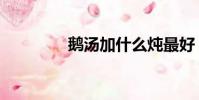 鵝湯加什么燉最好(鵝湯)