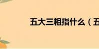 五大三粗指什么(五大三粗)