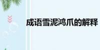 成語雪泥鴻爪的解釋(成語雪)