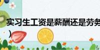 實習生工資是薪酬還是勞務報酬(實習生工資)