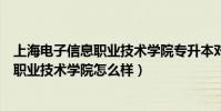 上海電子信息職業技術學院專升本對口學校(上海電子信息職業技術學院怎么樣)