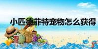 小匹德菲特寵物怎么獲得(小匹德菲特)