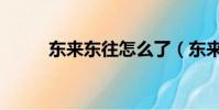 東來東往怎么了(東來東往真名)
