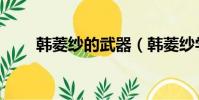 韓菱紗的武器(韓菱紗學什么仙術)