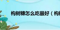 構樹穗怎么吃最好(構樹穗怎么吃)