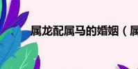 屬龍配屬馬的婚姻(屬龍配屬馬)