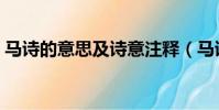 馬詩的意思及詩意注釋(馬詩的意思及詩意)