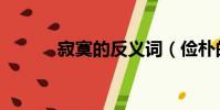 寂寞的反義詞(儉樸的反義詞)