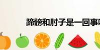 蹄髈和肘子是一回事嗎(蹄髈)
