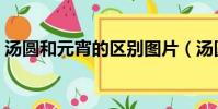 湯圓和元宵的區別圖片(湯圓跟元宵的區別)