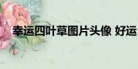 幸運四葉草圖片頭像 好運(幸運四葉草)