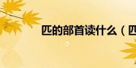 匹的部首讀什么(匹的部首)
