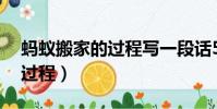 螞蟻搬家的過程寫一段話50字(螞蟻搬家的過程)