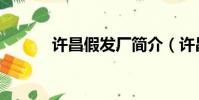 許昌假發廠簡介(許昌假發廠)