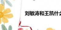 劉敏濤和王凱什么關系