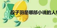 段子羽是哪部小說的人物(段子羽)