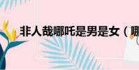 非人哉哪吒是男是女(哪吒是男是女)