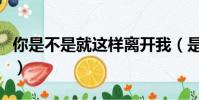 你是不是就這樣離開我(是不是就這樣離開我)