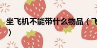 坐飛機不能帶什么物品(飛機上不能帶的東西)