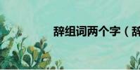 辭組詞兩個字(辭組詞)