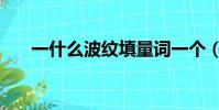 一什么波紋填量詞一個(一什么波紋)